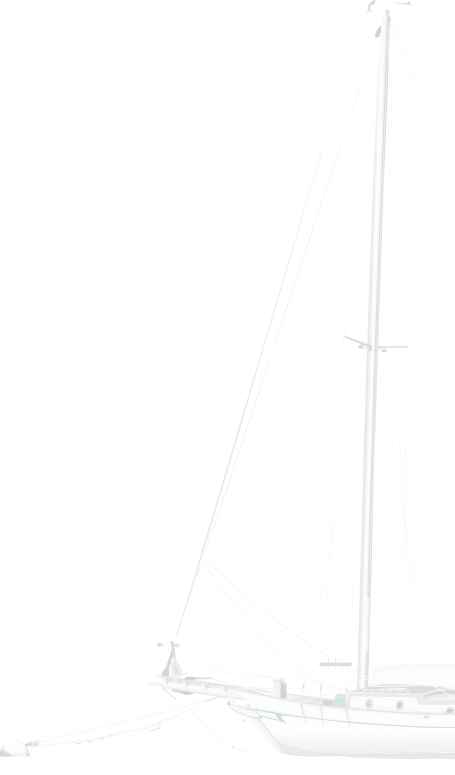 Why Choose Luxury day charters